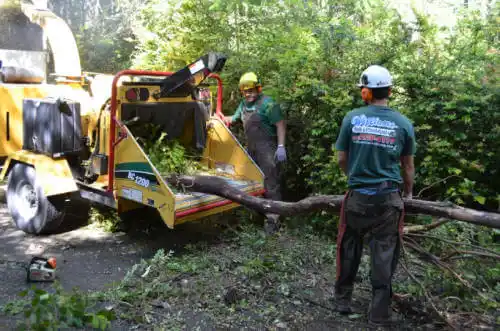 tree services Hayneville